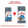 Royal Canin Feline Care Nutrition Light x 1.5 kg - Imagen 5