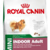 Royal Canin Size Health Nutrition Mini Indoor Adulto Perro Raza Pequeña x1 kg