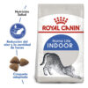 Royal Canin Gato Indoor X 7.5 Kg. - Imagen 3
