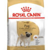 Royal Canin Breed Health Nutrition Pug Perro Adulto Raza Pequeña x 3 kg - Imagen 2