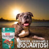 Golosinas Para Perros Doy Pack X 500 Gr Frutas Frutilla Manz - Imagen 5