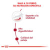 Royal Canin Perro Size Health Nutrition Medium Adult 7+ x15 kg - Imagen 4