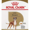 Royal Canin Perro Raza Boxer Adulto x 12 kg. - Imagen 3