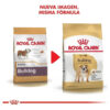 Royal Canin Breed Health Nutrition Bulldog Para Perro Adulto De Raza Mediana Sabor Mix En Bolsa De 12 kg - Imagen 8