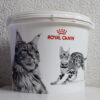 Royal Canin Gato Indoor X 7.5 Kg. - Imagen 2
