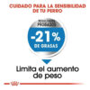 Royal Canin Size Health Nutrition Medium Weight Care x 3 kg - Imagen 3