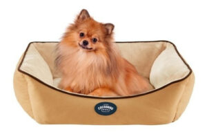 Moises Para Perros Y Gatos Cocooning Andy Medium