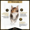 Pro Plan Optistart Kitten Gato De Temprana Edad Pollo Y Arroz x 3 kg - Imagen 6