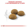 Royal Canin Indoor Longhair X 1,5kg - Imagen 6