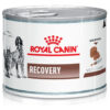 Royal Canin Veterinary Diet Canine Recovery Alimento Para Perro Y Gato Adulto Todos Los Tamaños Sabor Mix En Lata De 195gr