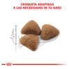 Royal Canin Gato Indoor X 7.5 Kg. - Imagen 5