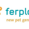 Comedero Y Bebedero Ferplast Glam Perros Medium 0,75 L - Imagen 31