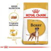 Royal Canin Perro Raza Boxer Adulto x 12 kg. - Imagen 2