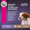 Eukanuba Perro cachorro Cordero x15 Kg - Imagen 3