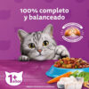 Whiskas Adultos Whiskas Gatos Gato Adulto  Pescado x 10 kg - Imagen 3