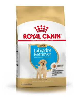 Royal Canin Breed Health Nutrition Labrador Retriever Cachorro x 12 kg