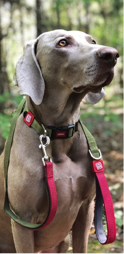 Correa Para Perros Resistente Fuerte Reflejante Gigwi