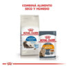 Royal Canin Indoor Longhair X 1,5kg - Imagen 5
