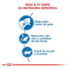 Royal Canin Indoor Longhair X 1,5kg - Imagen 3