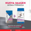 Excellent Kitten Gato De Temprana Edad x 7.5 kg - Imagen 2