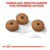Royal Canin Size Health Nutrition Medium Weight Care x 3 kg - Imagen 4