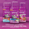 Whiskas Adultos Whiskas Gatos Gato Adulto  Pescado x 10 kg - Imagen 6