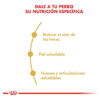 Royal Canin Breed Health Nutrition Bulldog Para Perro Adulto De Raza Mediana Sabor Mix En Bolsa De 12 kg - Imagen 5