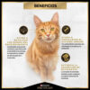 Pro Plan Optiage  Para Gato Purina Pro Plan Optiage Adult 7+ Para Gato Senior De Raza Todas Las Razas Sabor Pollo En Bolsa De 3 kg - Imagen 4