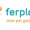 Comedero Y Bebedero Ferplast Glam Perros Medium 0,75 L - Imagen 18