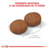 Royal Canin Perro Size Health Nutrition Medium Adult 7+ x15 kg - Imagen 6