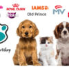 Iams Alimento Seco Perro Adulto Raza Grande Pollo 15 kg - Imagen 7