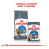 Royal Canin Feline Care Nutrition Light x 1.5 kg - Imagen 6