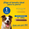 Pedigree Dentastix Razas Medianas X 77,1 Grs Caja X 10 Unid - Imagen 3