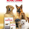 Royal Canin Veterinary Diet Feline Urinary S/o High Dilution Uhd x 7.5 kg - Imagen 5