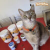 Natuplus Snack De Carne Para Gatos Y Perros Natural 200ml - Imagen 6
