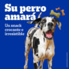 Pedigree Biscrok Multi  X 500 Grs - Imagen 4
