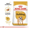 Royal Canin Breed Health Nutrition Bulldog Para Perro Adulto De Raza Mediana Sabor Mix En Bolsa De 12 kg - Imagen 4