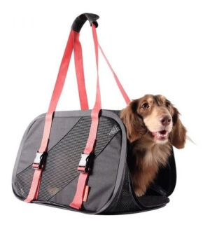 Bolso Ibiyaya Para Perro Y Gato Foldable Pet Travel Carrier