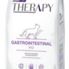 Vitalcan Therapy Gato Gastrointestinal 2 Kg