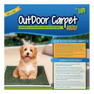 Alfombra Bandeja Sanitaria Paño Pet Mini Outdoor 35x50cm