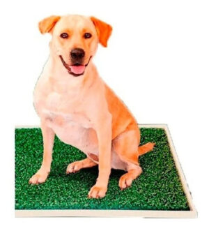 Alfombra Bandeja Sanitaria Paño Pet Max Outdoor 55x70cm