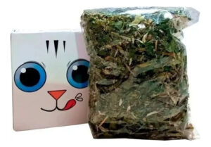 Hierba Gatera Zootec Catnip Deshidratado Gatos X 10 Gs