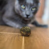 Hierba Gatera Catnip Ball Deshidratado Para Gatos Zootec - Imagen 4
