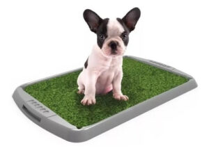 Alfombra Bandeja Sanitaria Pasto Sintético Peepoo Perro Grande Economica
