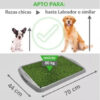 Alfombra Bandeja Sanitaria Pasto Sintético Peepoo Perro Grande Economica - Imagen 3