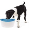 Fuente Bebedero Zeus Dogit Design Drinking Fountain 6 Litros