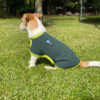 Ropa Perro Buzo Mpc Frida Talle 48 C/velcro Calidad Premium - Imagen 2