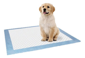 Paño Pañal Adiestramiento Puppy Pads P/perros 50 Unidades